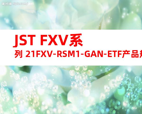 JST FXV系列 21FXV-RSM1-GAN-ETF产品规格书